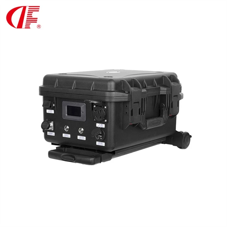 DF-1000W DC voltajı 12V 24V 1000W çevrimiçi veya çevrimdışı acil durum UPS